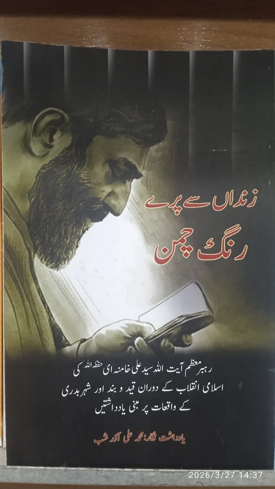زنداں سے پرے رنگ چمن 